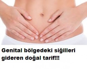 Read more about the article Genital Bölgesindeki Siğillerden Kurtaran 2 Doğal Tarif