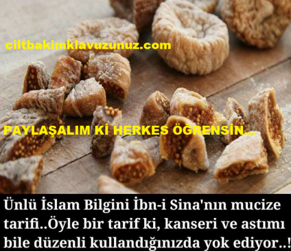 Read more about the article İBN-İ SİNANIN MUCİZE TARİFİ