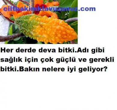 Read more about the article Adı Gibi Güçlü Bitki Her Derde Deva