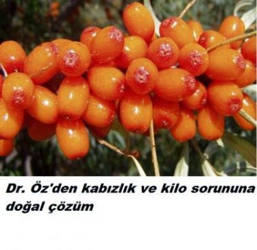 Read more about the article Kabızlık ve kilo sorununa doğal çözüm