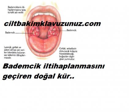 Read more about the article BADEMCİK İLTİHAPLANMASINI GEÇİREN EN İYİ KÜR