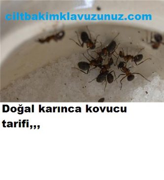 Read more about the article DOĞAL KARINCA KOVUCU TARİFİ