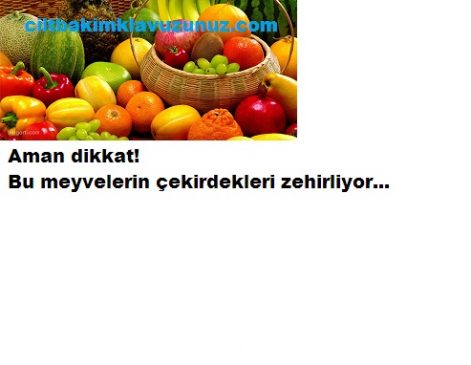 Read more about the article Dikkat Bu Meyvelerin Çekirdekleri Zehirliyor