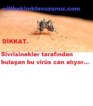 Read more about the article Sivrisinek Aracılığıyla Bulaşan Bu Virüs Can Alıyor