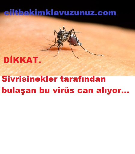 Sivrisinek Aracılığıyla Bulaşan Bu Virüs Can Alıyor