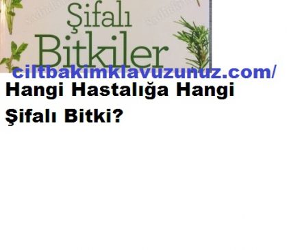 Read more about the article Şifalı Bitkiler Hangi Hastalığa Hangi Bitki