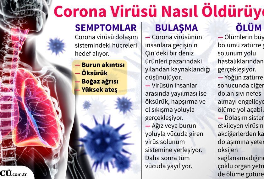 Corona virüsü