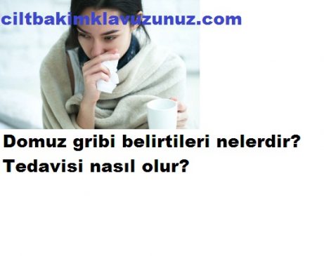Read more about the article Domuz Gribi Belirtileri Nelerdir