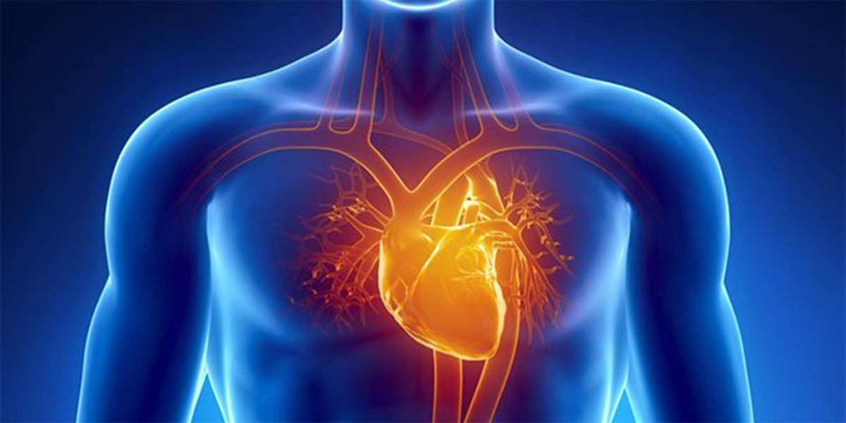 Kalp hastalıklarının habercisi belirtiler nelerdir